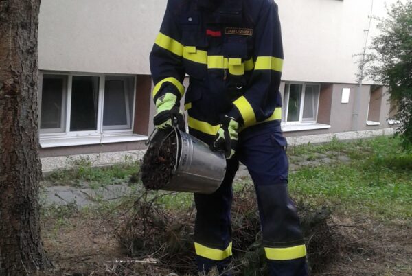 Náhledová fotka k článku: Pomoc od dobrovolných hasičů