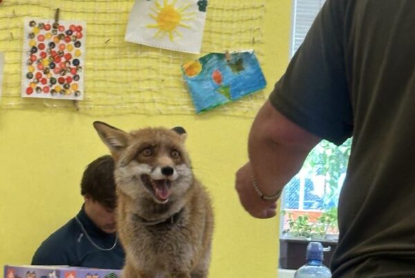 Náhledová fotka k článku: Navštívil nás myslivec s liškou! 🦊