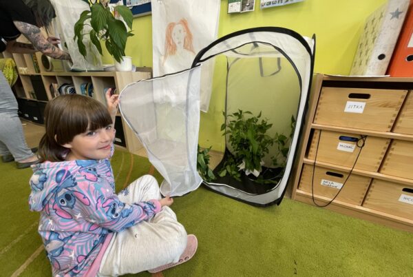 Náhledová fotka k článku: Třeťáci zkoumají přírodu 🦋🌲🪲🔎