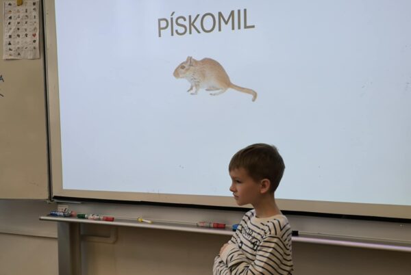 Náhledová fotka k článku: 🐾 Den domácích mazlíčků ve 2. C 🐰🐹🐢