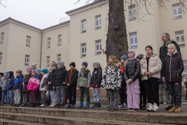 Náhledová fotka k článku: Den veteránů