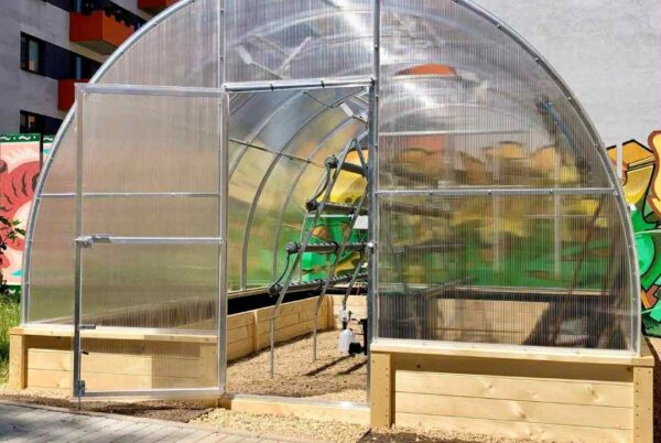 Náhledová fotka k článku: 🌿 Máme chytrý skleník a hydroponickou stěnu🌱