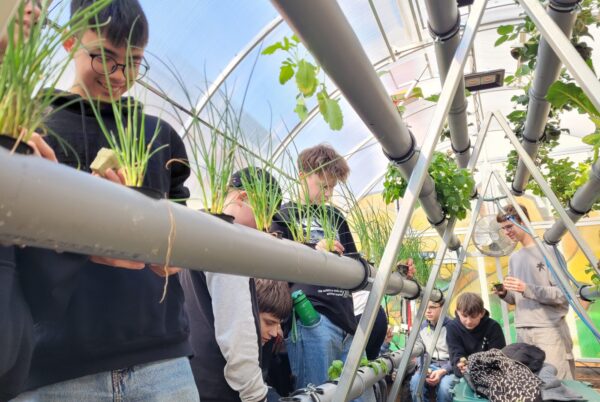 Náhledová fotka k článku: 🌱 Projektový den: Když skleník myslí za nás