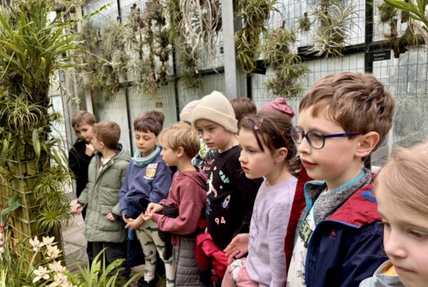 Náhledová fotka k článku: Družina v arboretu