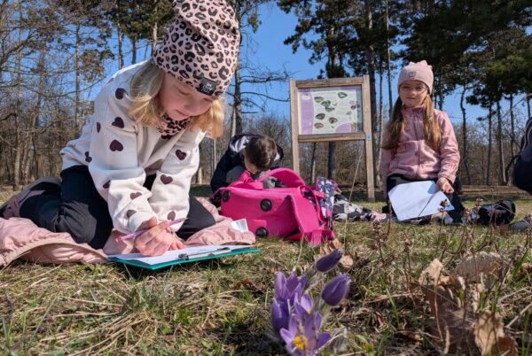 Náhledová fotka k článku: Koniklecová louka nás nadchla